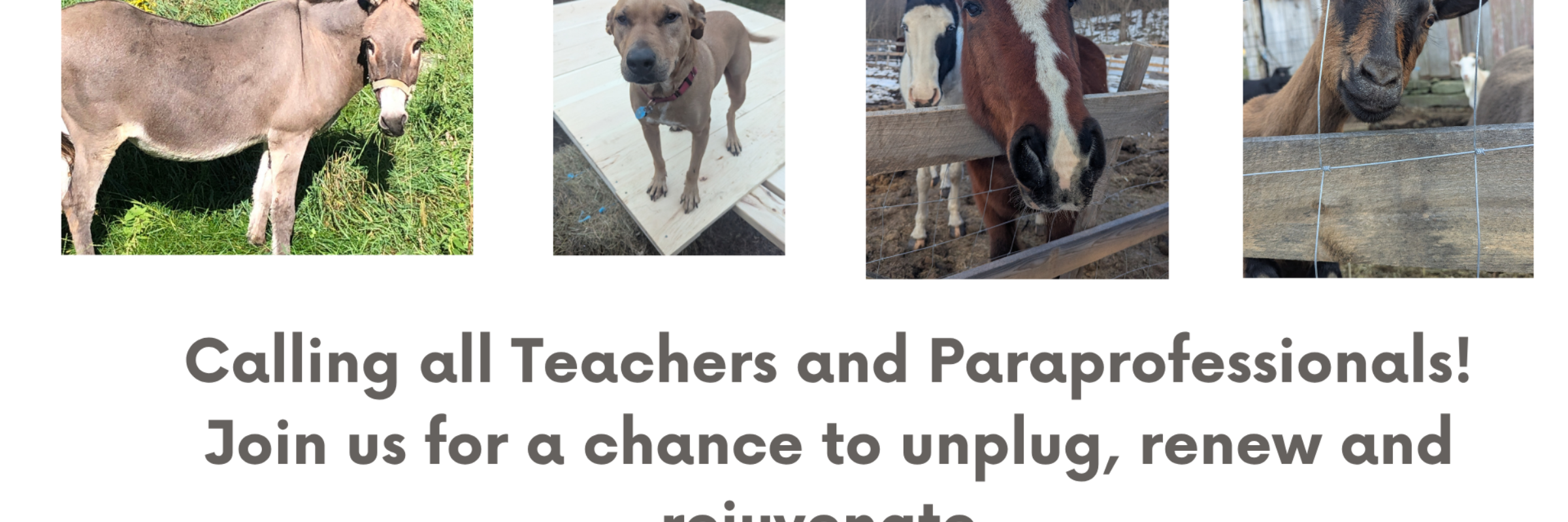 Wellness Retreat for Teachers and Paraprofessionals