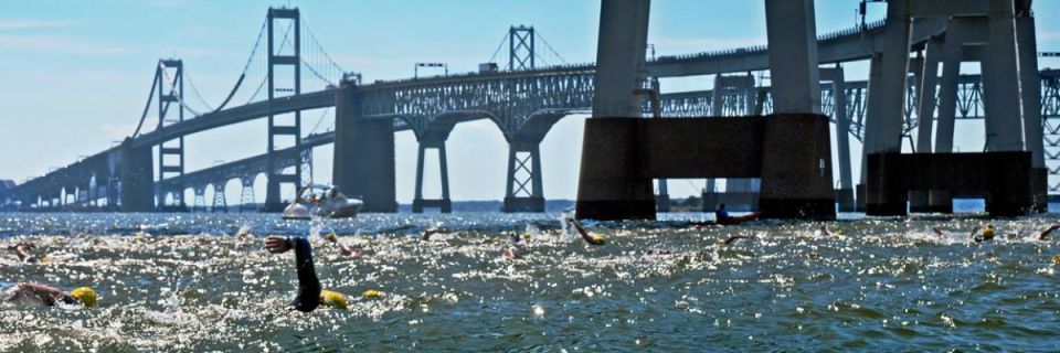 Great Chesapeake Bay 4.4 Mile Swim & 1 Mile Bay Challenge