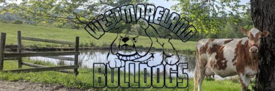 22nd Annual Bulldog 4 Fun Run/Walk