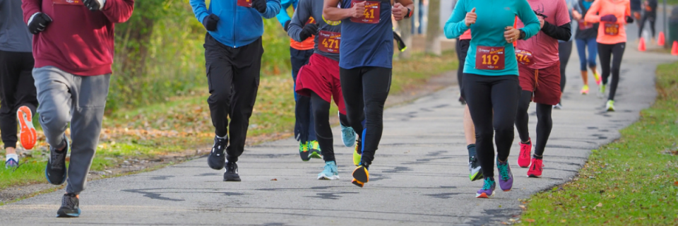 Houdini 10k
