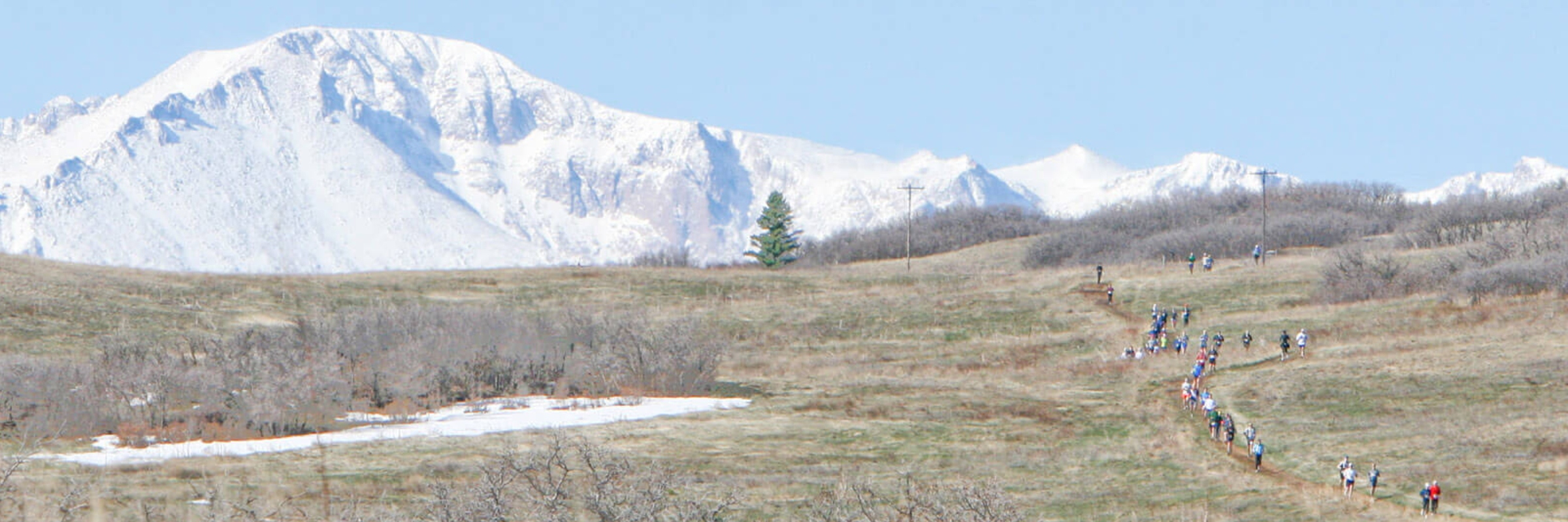 Greenland Trail Races