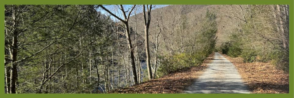 WICKED FAST MARATHON & HALF MARATHON POCONOS