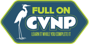 Full On CVNP6 logo