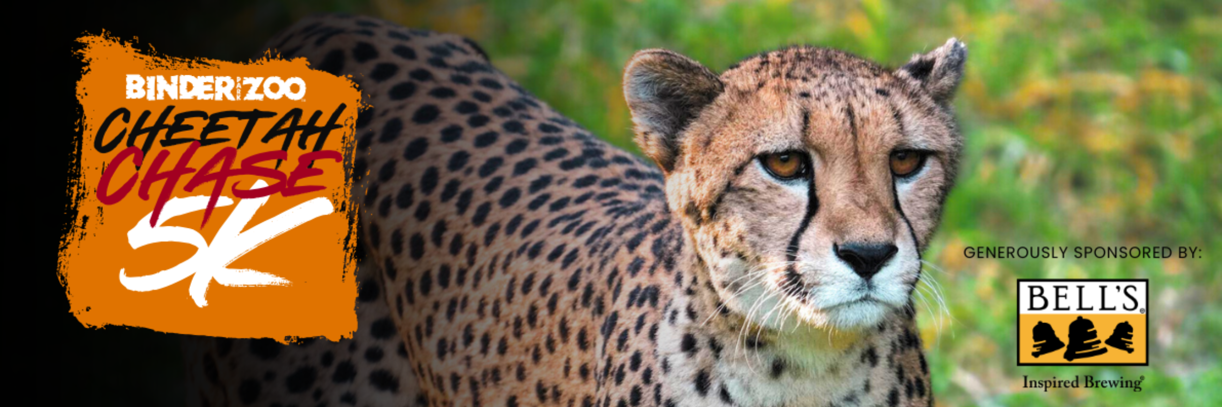 Cheetah Chase 5K