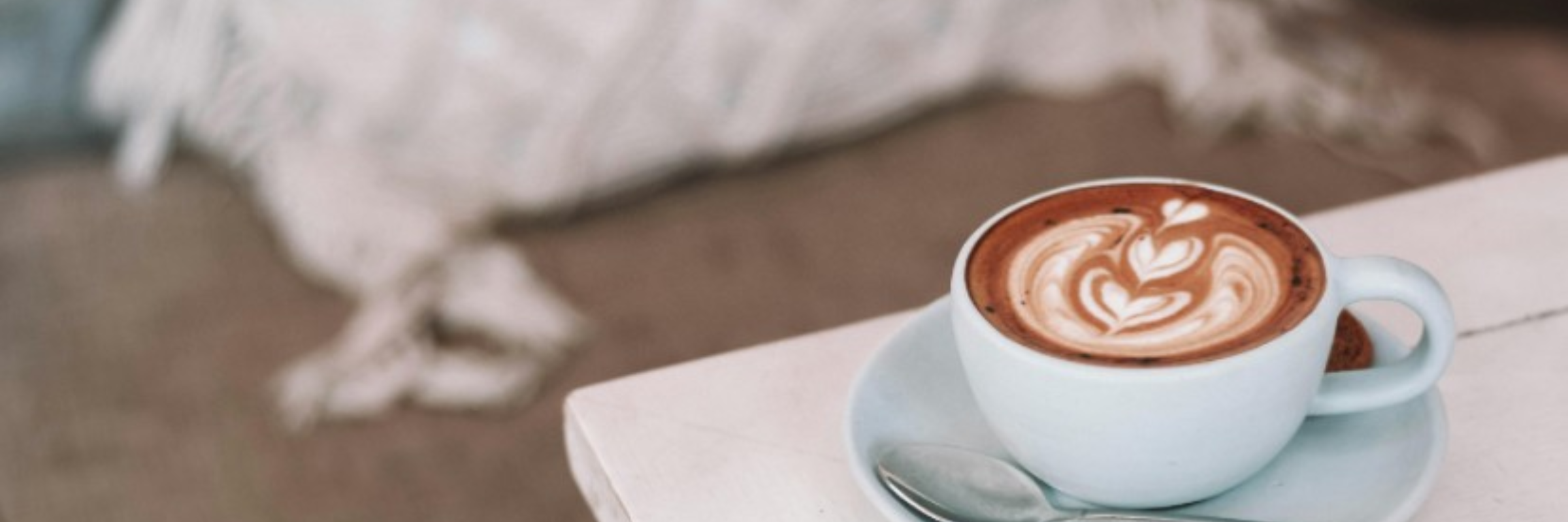 Mother's Day Weekend Nomad Coffee Fun Run