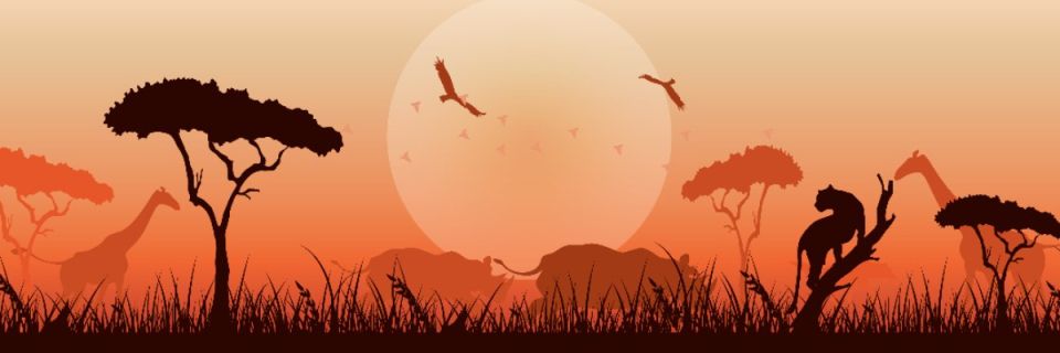 Safari Run to Uganda 2026 - In-person and Virtual Race at County Farm Park - Dress in an African animal costume!