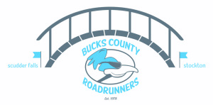 B2B, Bridge to Bridge Relay Run logo
