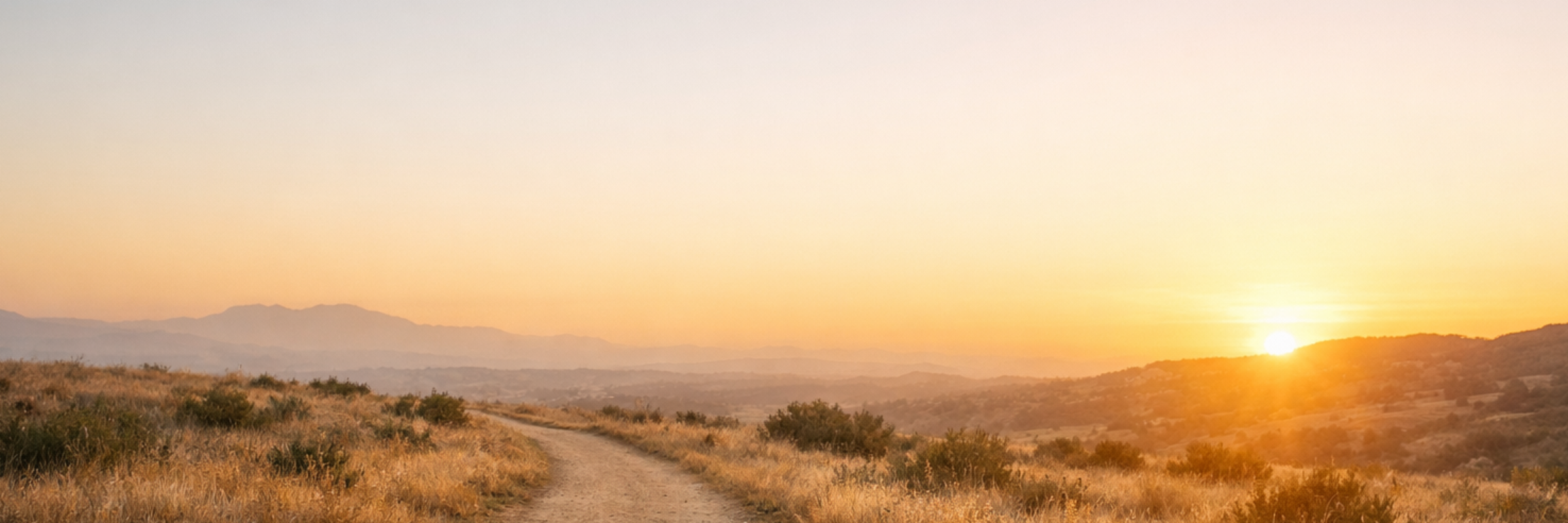 The Next Loop Virtual Endurance Experience