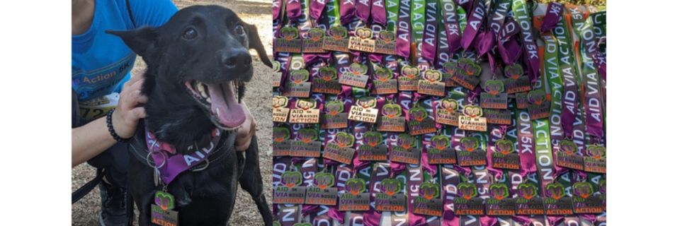 4th Annual Aid Via Action 5K
