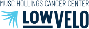 LOWVELO26 logo