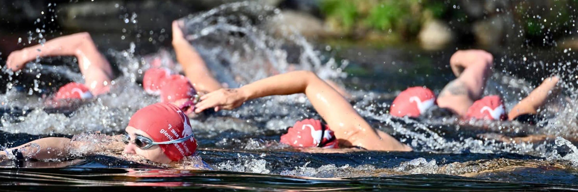 Glen Lake Swim: The Good, The Bad, and The Glennie!