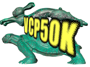 VCP50k logo