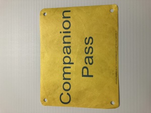 RACE COMPANION PASSES logo