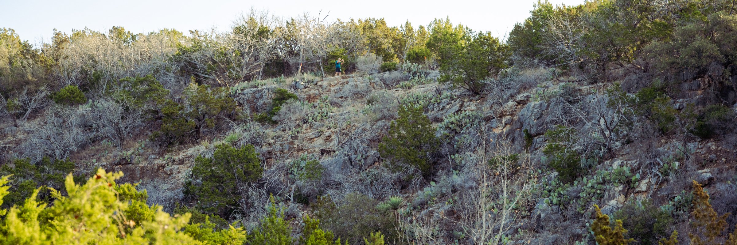 Hill Country Triple Trail Run