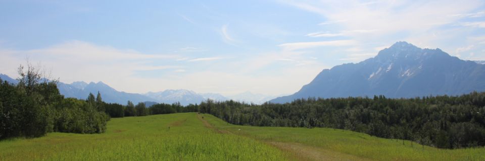 The Lakes TrailFest