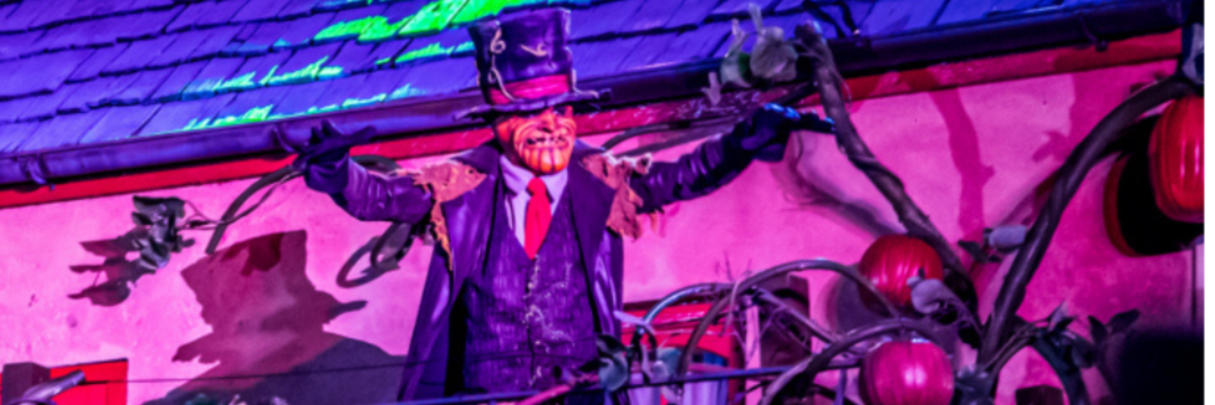 Busch Gardens® Fiends Frenzy 5k Run