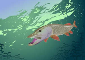 Muskie 5k logo