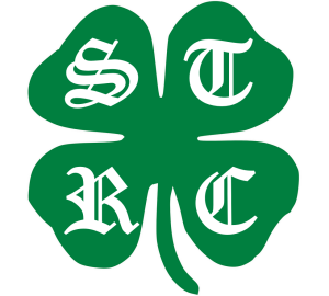 St. Patrick's Day 5K/10K logo