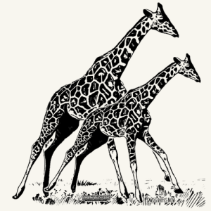 World Giraffe Day 5K Run/Walk logo