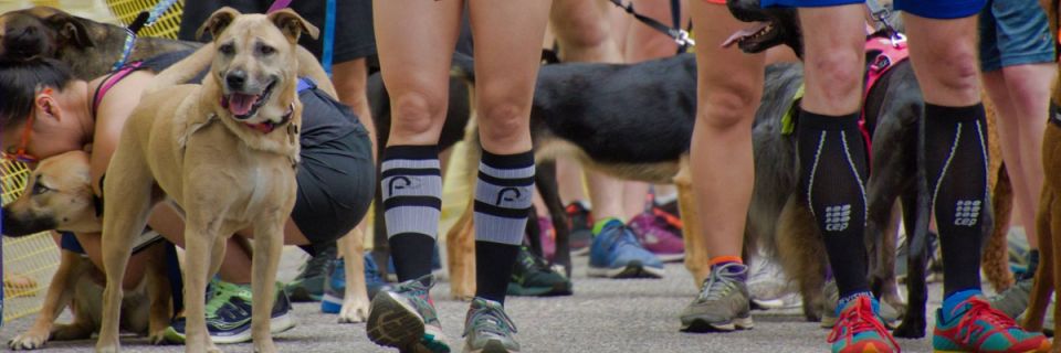 Racing for Rescues
