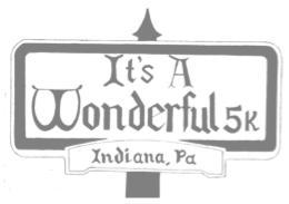 It's A Wonderful 5K logo