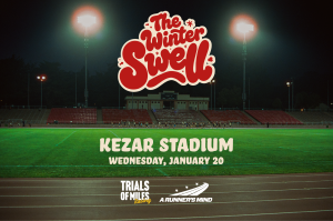 The Winter Swell logo