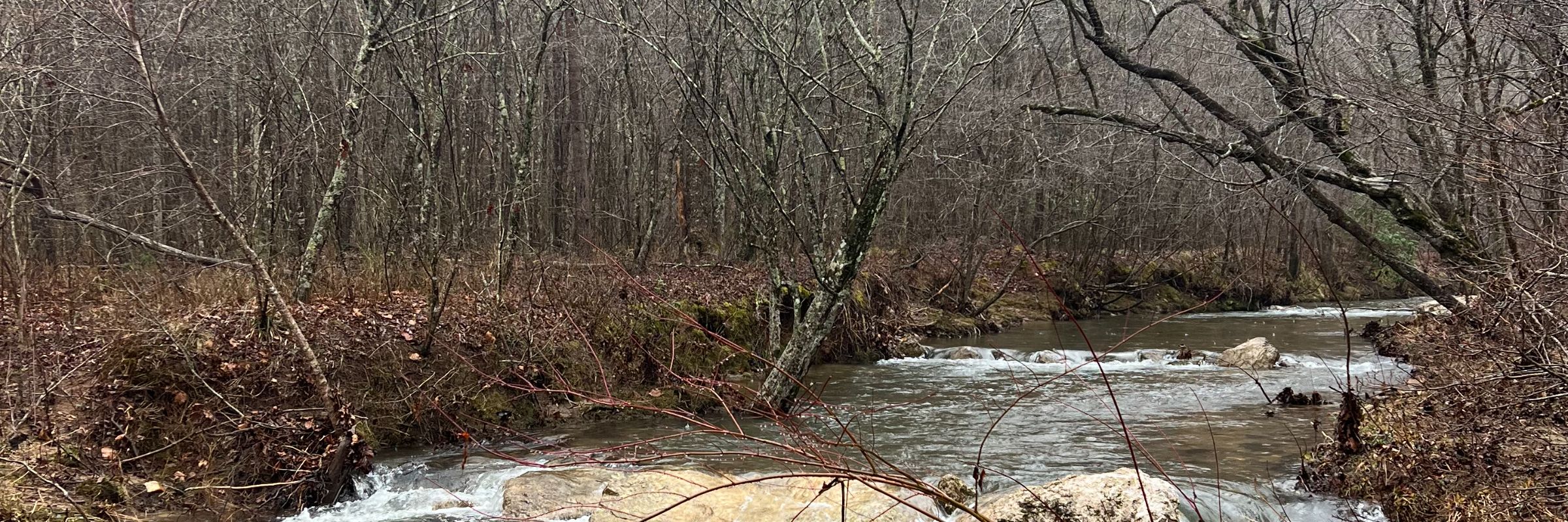 Meadow to Mountain Trail Race