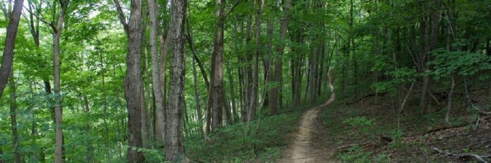 Dirt Days Trail Series - East Fork SP Trail Run