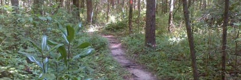 Gulf Winds Summer Trail Series