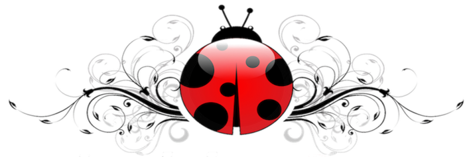 Ladybug Run for CDH Awareness 5K/10K