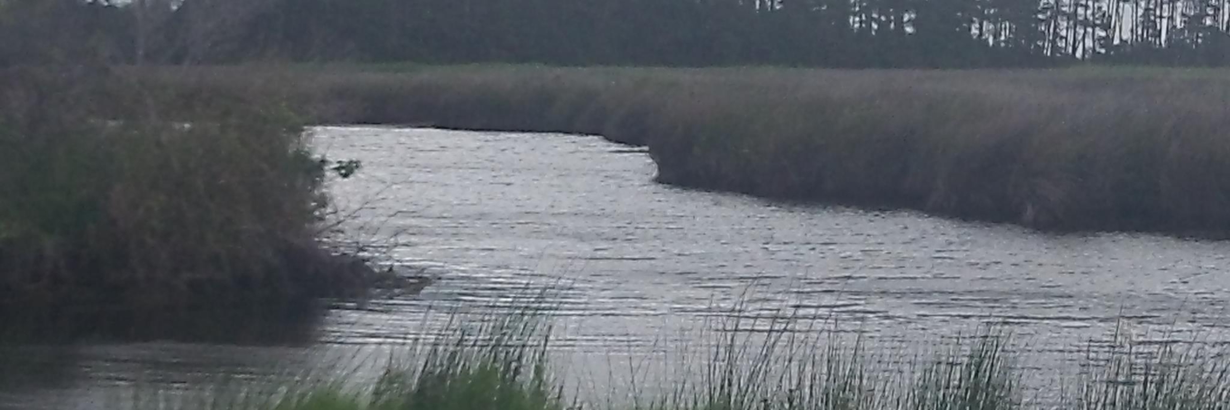 The Northern Outer Banks Salt & Sound Run/Walk