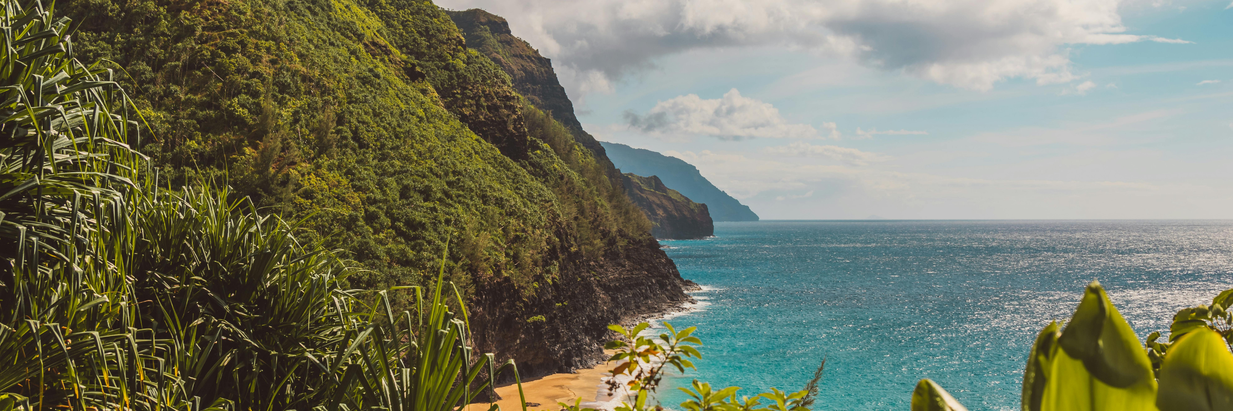 Run Society Co. | Run to Hawaii 5k