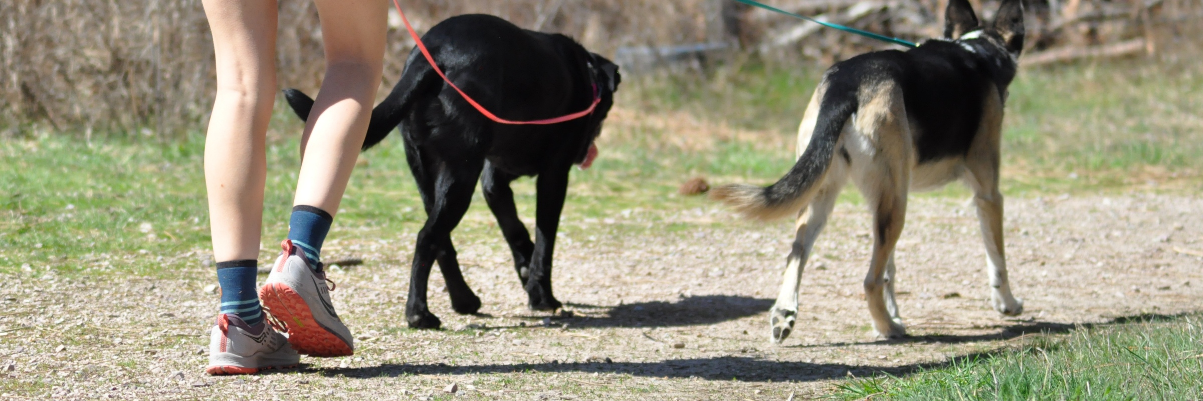18th Annual Canine Classic at Paws Up