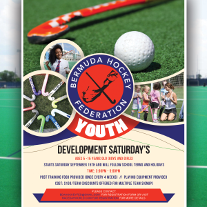 The Bhf FunStixs Junior Program logo