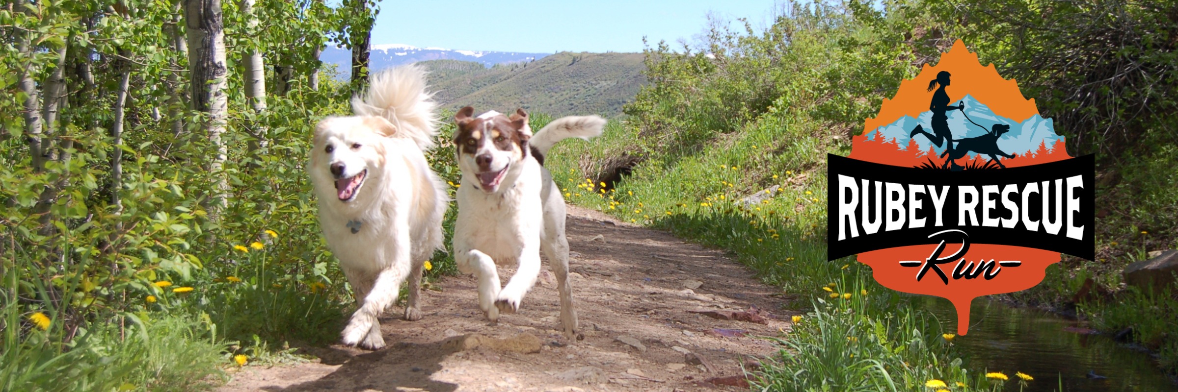 Rubey Rescue Run