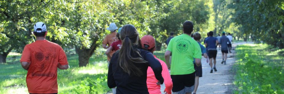 15th Annual Breeze in the Trees 5k