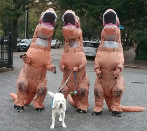 Richmond T. Rex Run logo