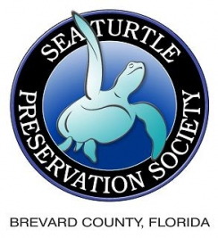 Turtle Krawl 5K logo