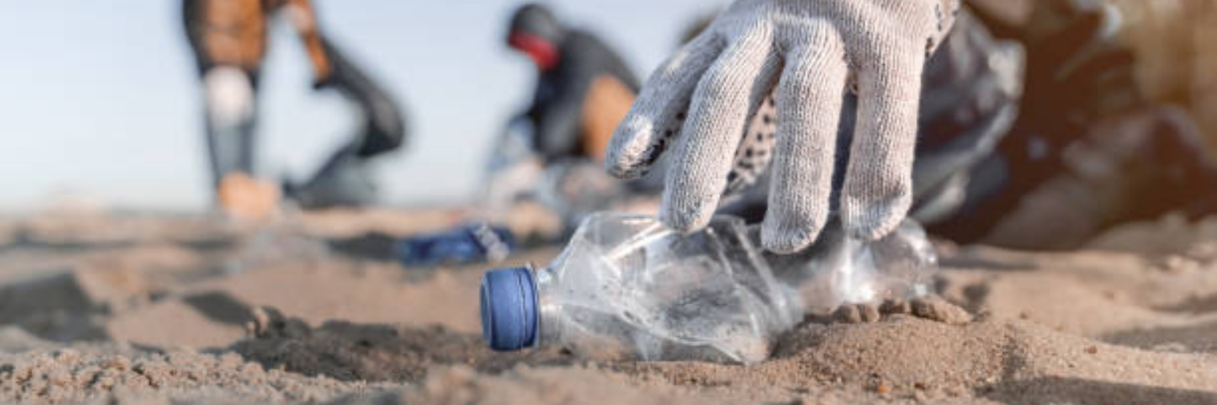 Volunteer Opportunity: Beach Clean Up