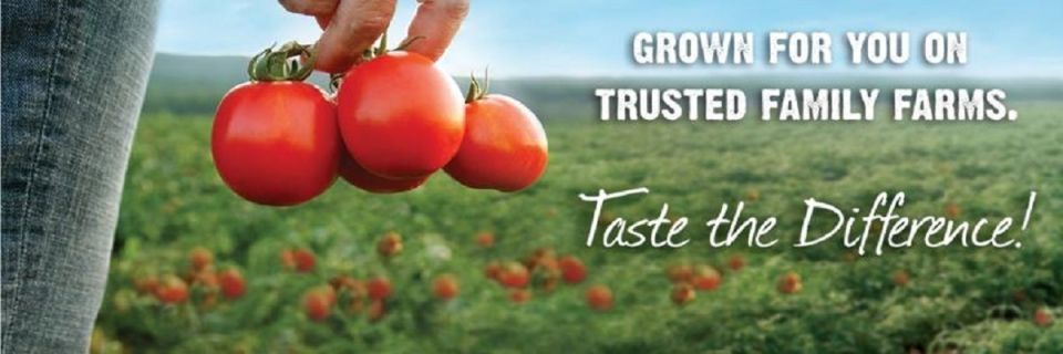 Tomato Trot 5k