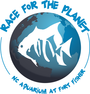 Race for the Planet logo