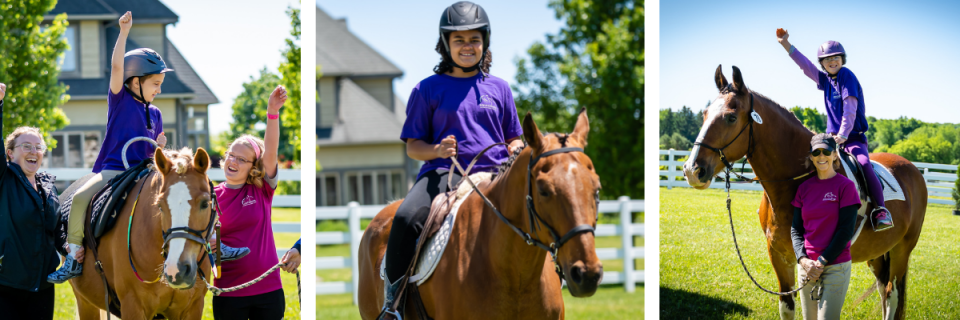The Horse Show