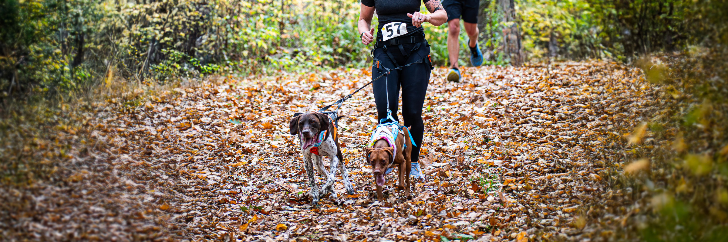 Paws for a Cause Canicross & Trail Run/Walk for Charity 2027