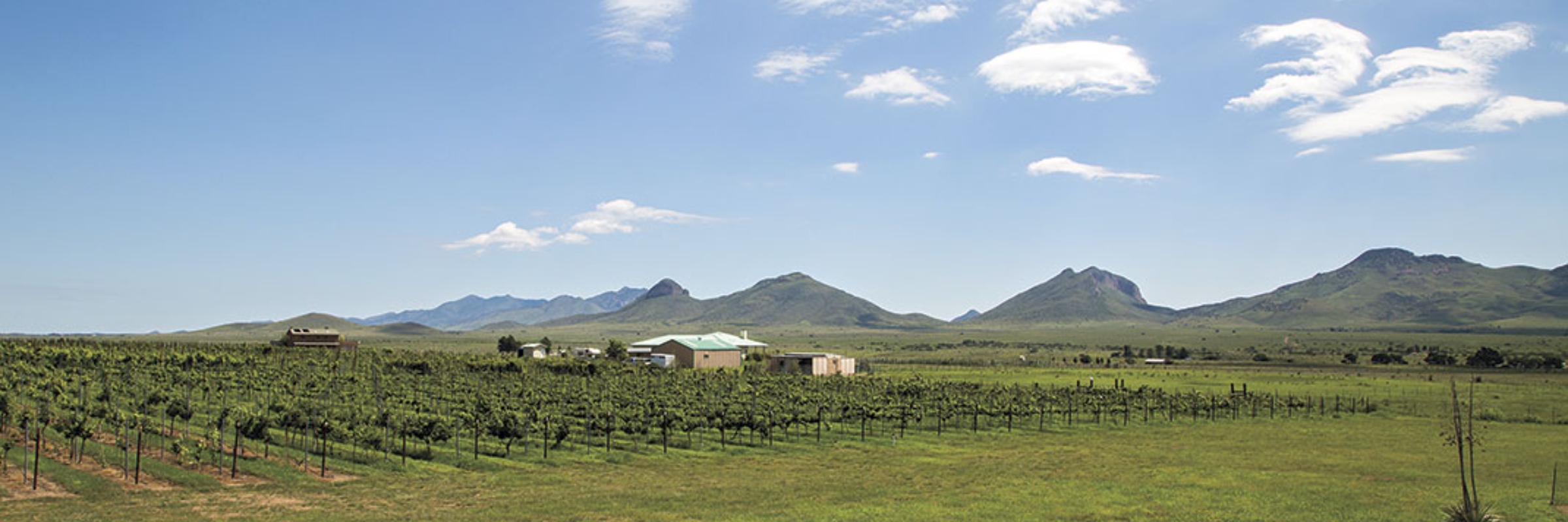Sonoita Vineyards Wine Run 5k