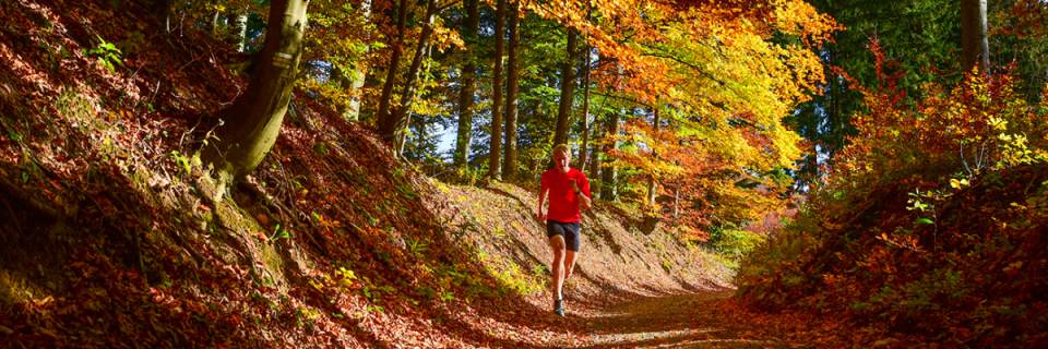 Keene Family YMCA Fall Foliage Trail Races
