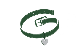 Love Story: A Taylor Tribute Concert Benefitting The Greenville Humane Society logo