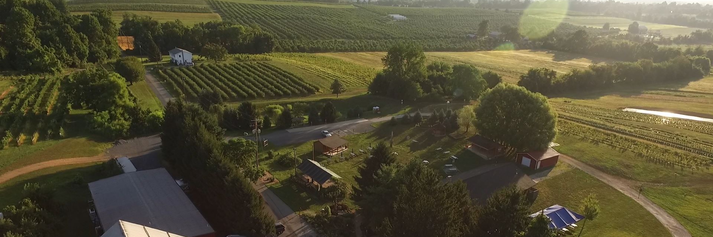 Adams County Winery Haunted Wine Run 5k