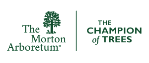 The Fall Color 5K logo