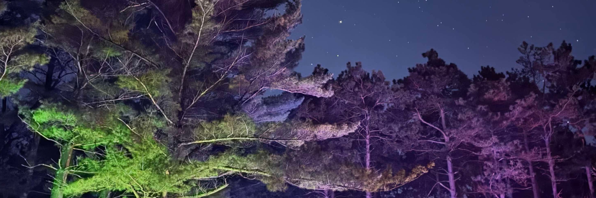 Prickly Pine Jackpot 24 Hour Solo/Relay