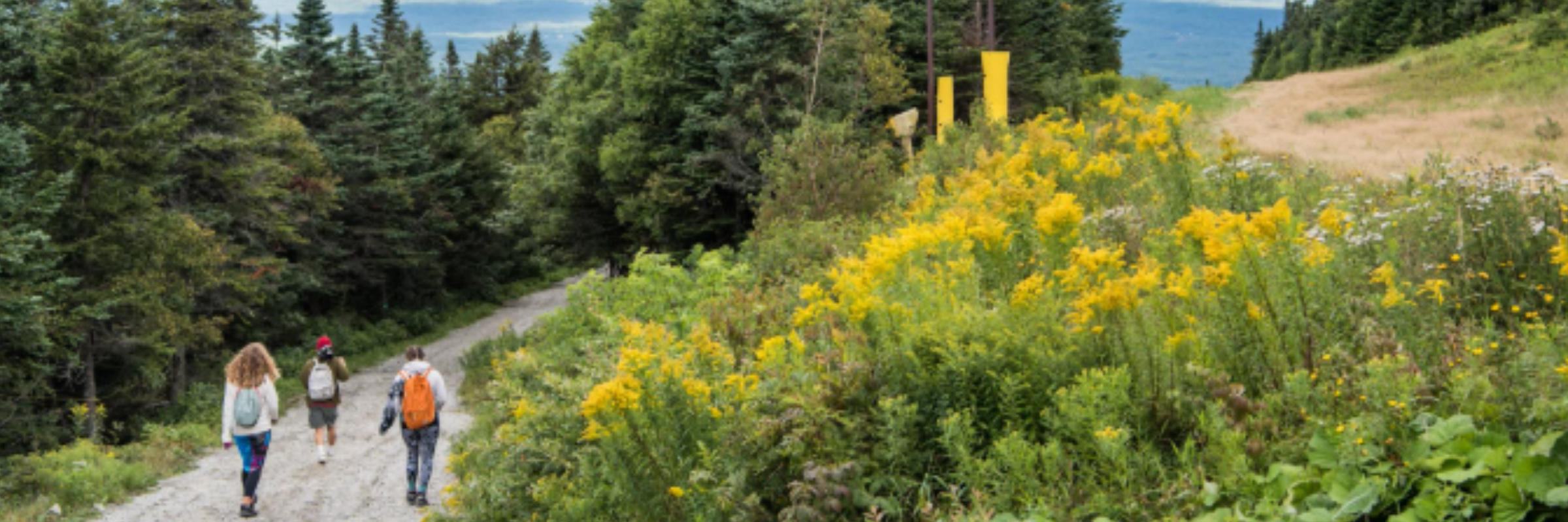 Free Hike with a Guide